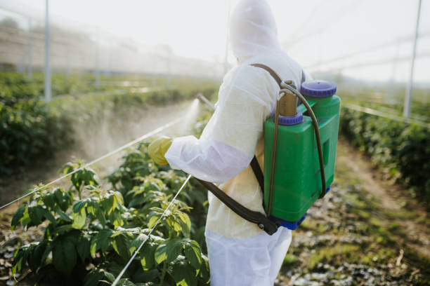 Best Pest Prevention Services  in South Pekin, IL